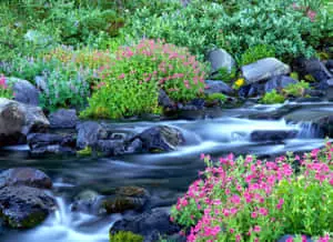 Beautiful Nature pictures