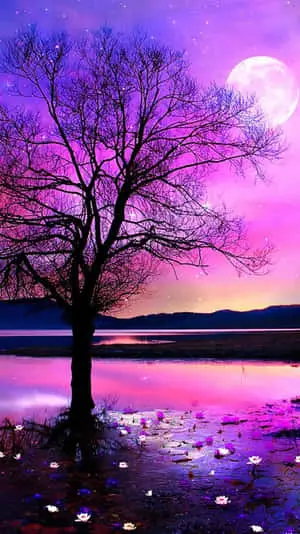 Beautiful Nature pictures