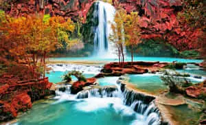 Beautiful Nature pictures