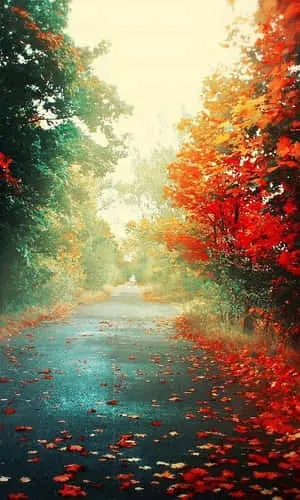 Beautiful Nature pictures