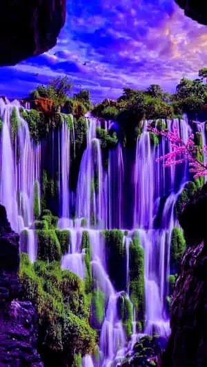 Beautiful Nature pictures