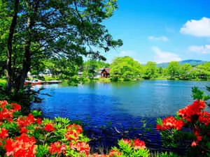 Beautiful Nature pictures