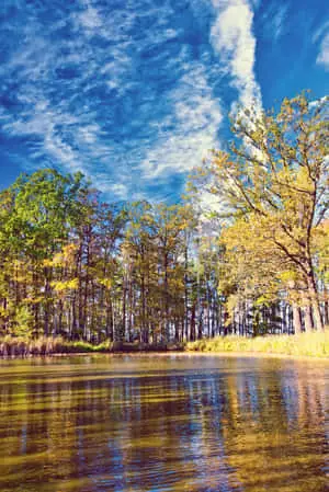 Beautiful Nature pictures