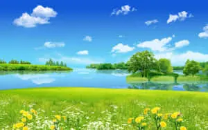 Beautiful Nature pictures