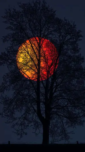 Beautiful Nature pictures