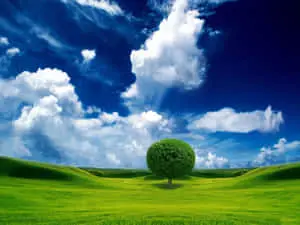 Beautiful Nature pictures