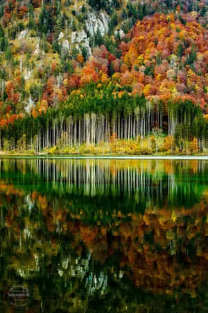 Beautiful Nature pictures