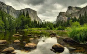 Beautiful Nature pictures