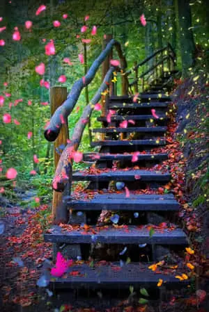 Beautiful Nature pictures