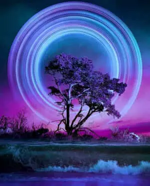 Beautiful Nature pictures