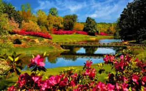 Beautiful Nature pictures