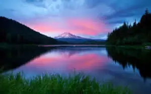 Beautiful Nature pictures