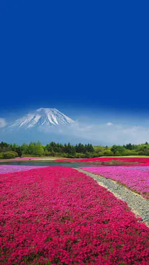 Beautiful Nature pictures