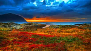 Beautiful Nature pictures