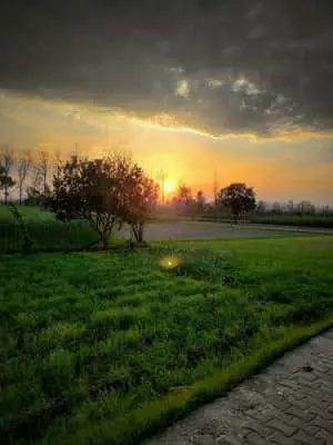 Beautiful Nature pictures