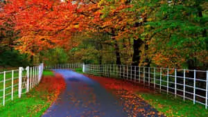 Beautiful Nature pictures