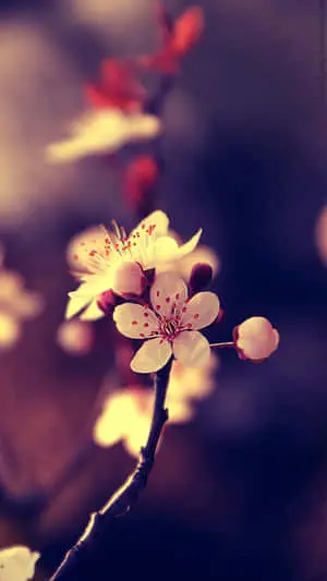  Captivating Nature Photography 