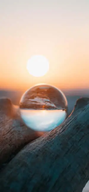 Captivating Nature's Beauty