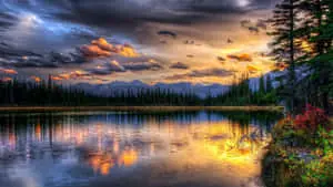 Beautiful Scenery Desktop Canada Forest Lake