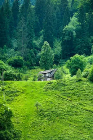 A stunning view of nature's beauty