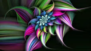 Our World of Colorful Beauty