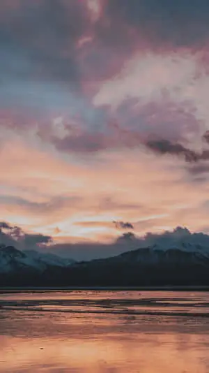 Unveil the breathtaking beauty of nature