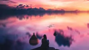 Capture the Beauty of Nature 