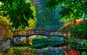 a wooden bridge surrounded by green trees and flowers