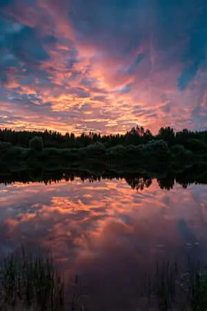 Best Nature Background Dusk In Lake Forest