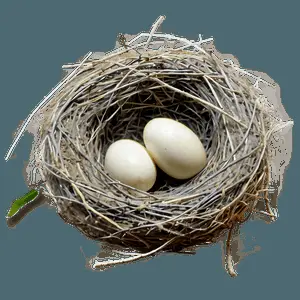 Bird Nest in Garden PNG 46