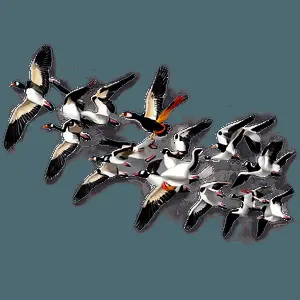 Birds Migration Scene PNG fid88