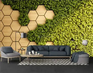 Black Coach Against A Hexagon Design Wall
