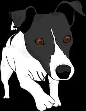 Blackand White Dog Illustration