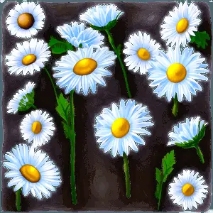Blooming Daisies Meadow PNG yeu82