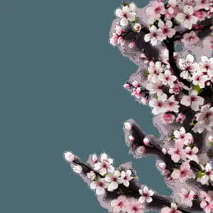 Blossom Wallpaper PNG 20