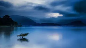 Blue Sunrise Nature 