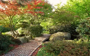 Enjoy the Beauty of Nature