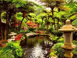 Botanical Garden 1632 x 1224 wallpaper