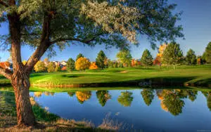 Bright Autumn Nature