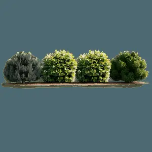 Bushes in Landscape PNG 05242024