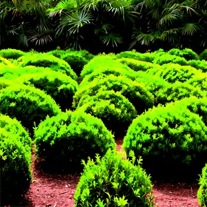 Bushes in Landscape PNG 57