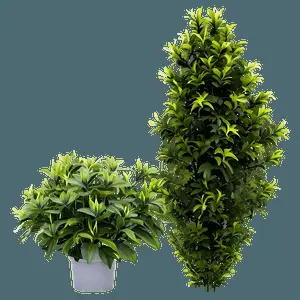Bushes with Flowers PNG gam