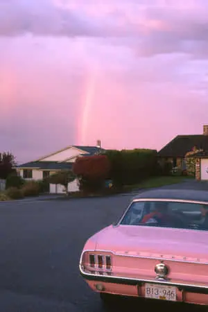 Experience The Beauty of California's Aesthetic
