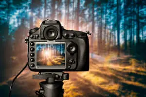 a dslr camera with a tripod in the forest