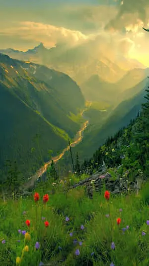  Caption: Serene Natural Setting with Radiant Sunrise 