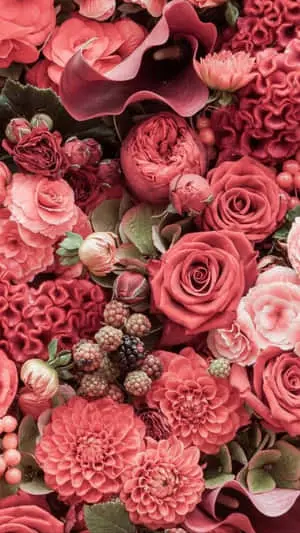 Close-Up Pink And Red Flowers