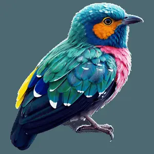 Colorful Bird Species Picture PNG vyw