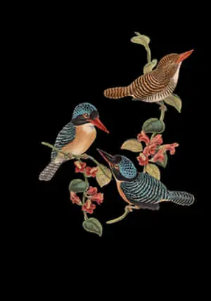 Colorful Birds Illustration