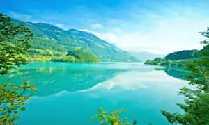Appreciate the beauty of nature!