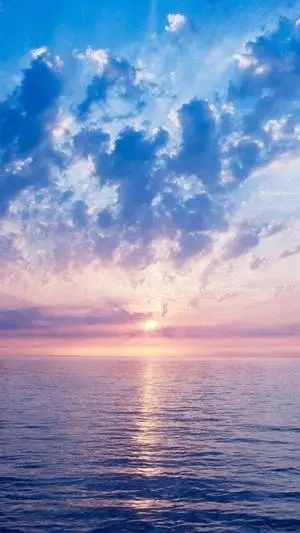 Dainty Sunrise Nature